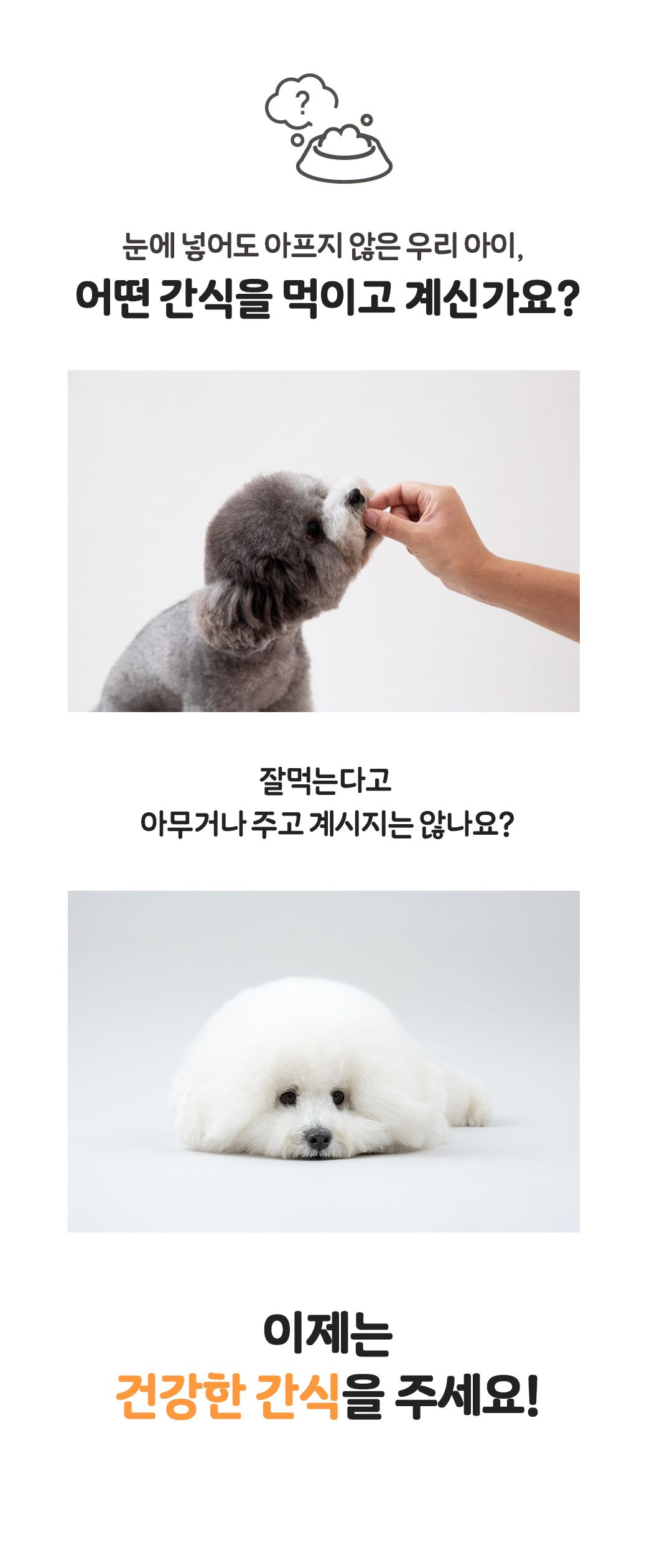 [무료배송][3개] 듀먼 독 활기팡팡 북어 트릿 40g 3번째