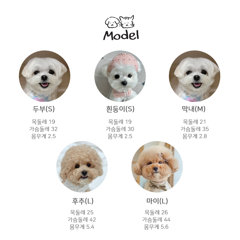 [무료배송] 개달당 독 딸기우유 강아지 하네스 + 선캡 2종 XS-L 7번째