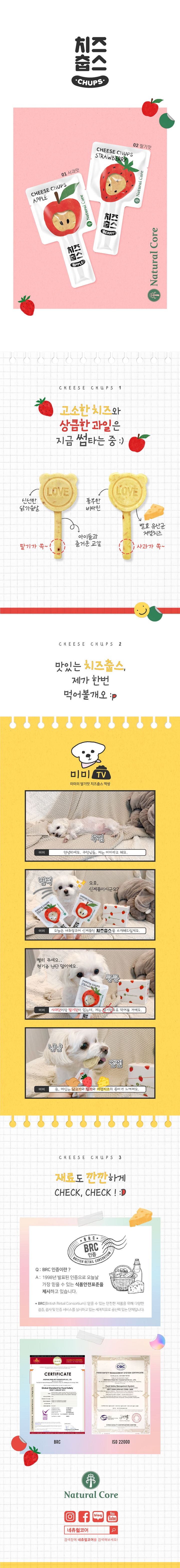 네츄럴코어 독 치즈춥스 사과 1박스 (10개입) 1번째
