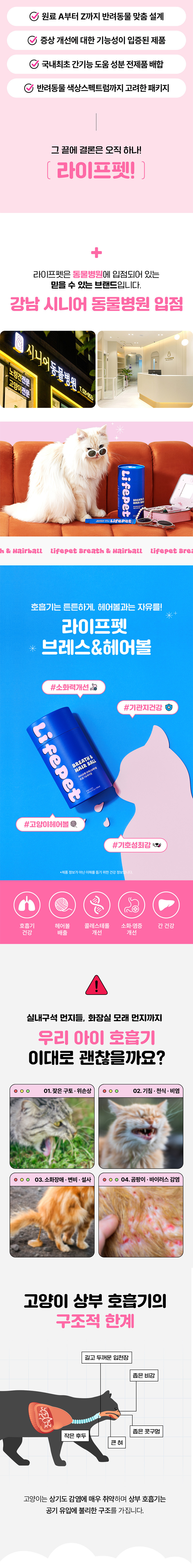 [NEW신상]라이프펫 캣 호흡기&헤어볼 영양제 420g 2번째