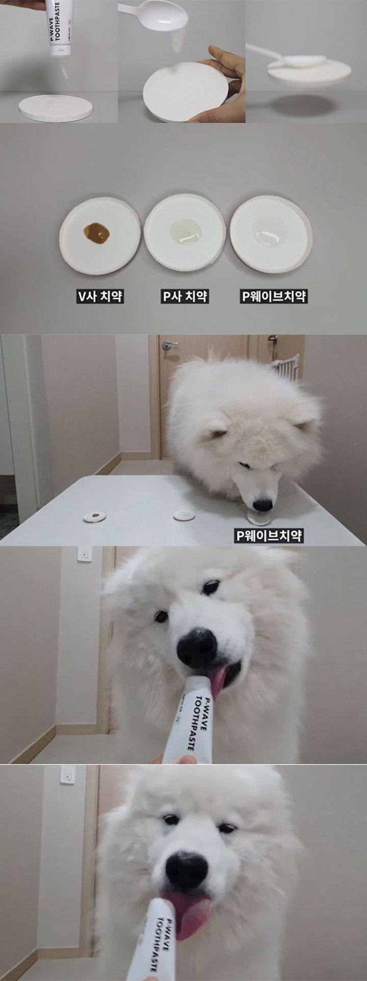 [무료배송] 페톰스 P웨이브 치약 1번째