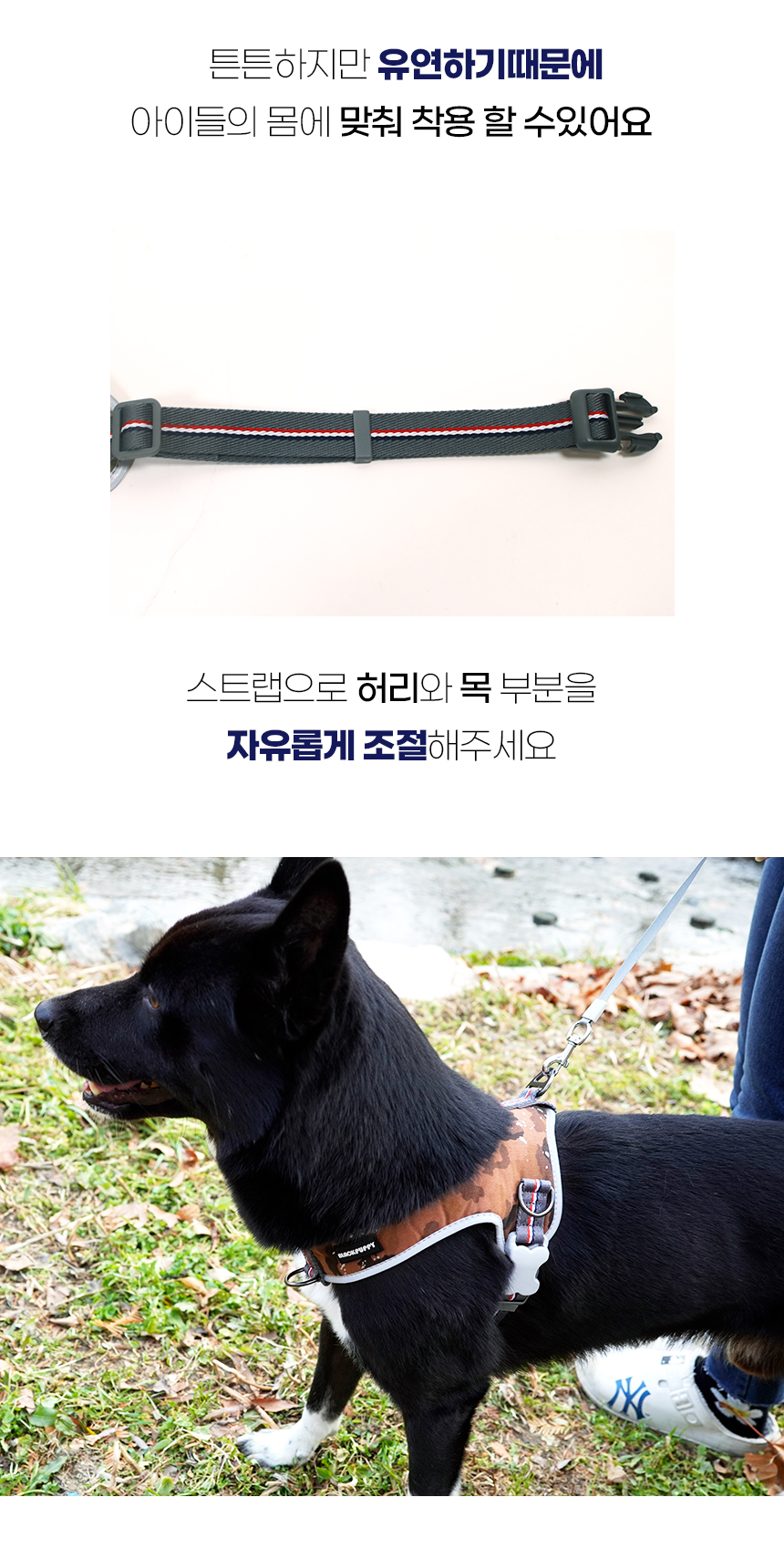 [NEW신상][무료배송] 개과천선 독 트라이 L형 하네스 (와인 레드/구름 그레이/초코 브라운/다크 베이지) 13번째