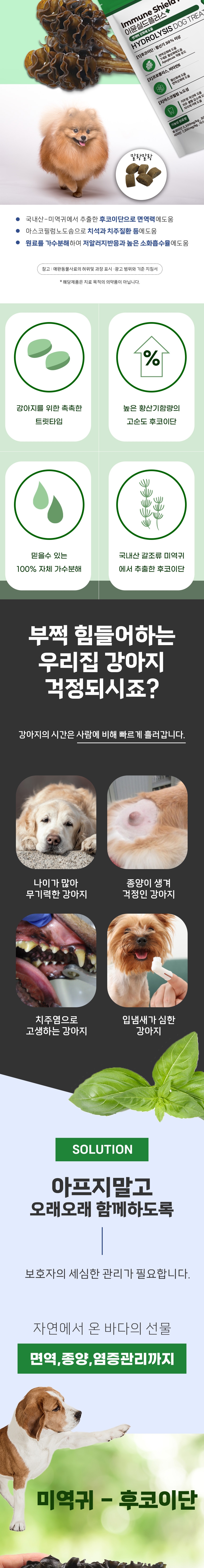 [NEW신상][무료배송] 스페푸 독 이뮨실드플러스 면역력 영양제 270g 2번째
