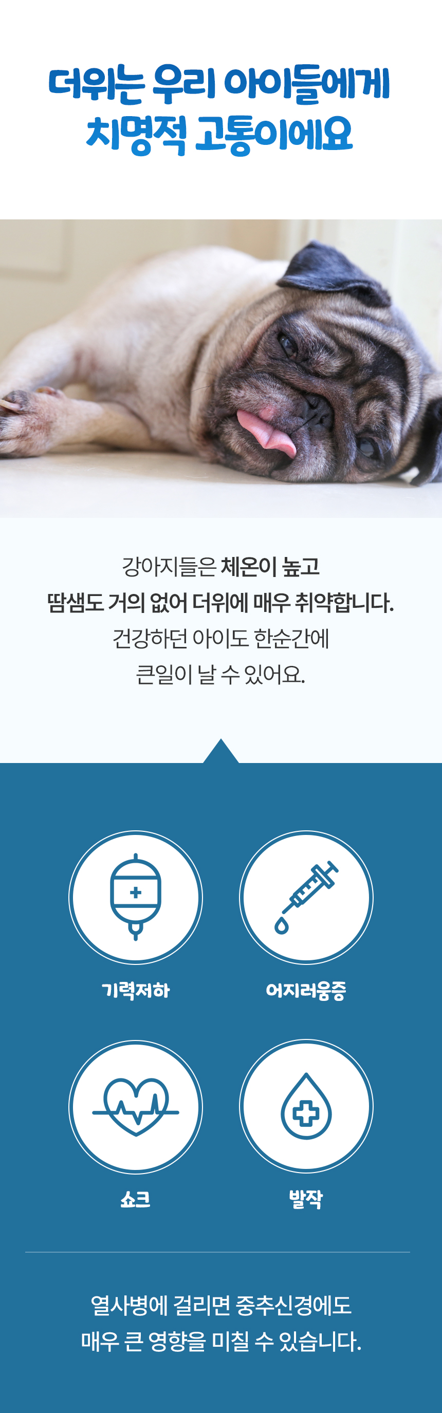 [무료배송] 초코펫하우스 아이스 쿨링 시원한 얼음의집 4번째