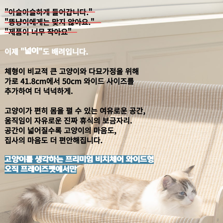 [신상특가][무료배송] 프레이즈펫 프리미엄 비치체어 스크래쳐 대형 와이드형 / 리필 교체 가능 13번째