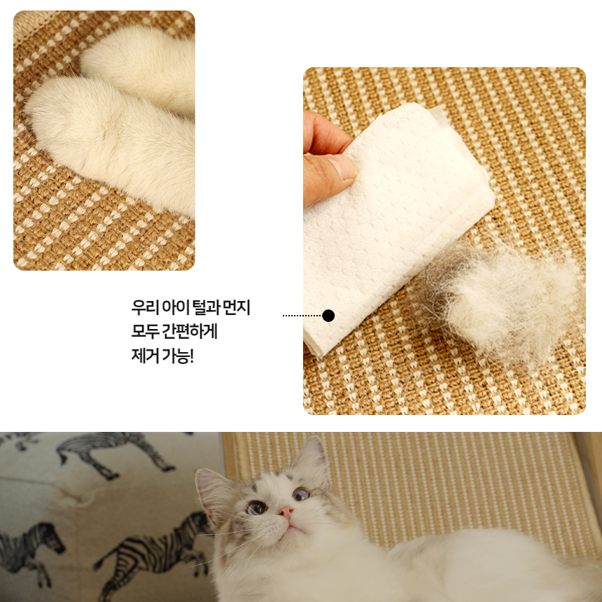 [NEW신상][무료배송] 프레이즈펫 비치체어 스크래쳐 대형 / 리필 교체 가능 12번째