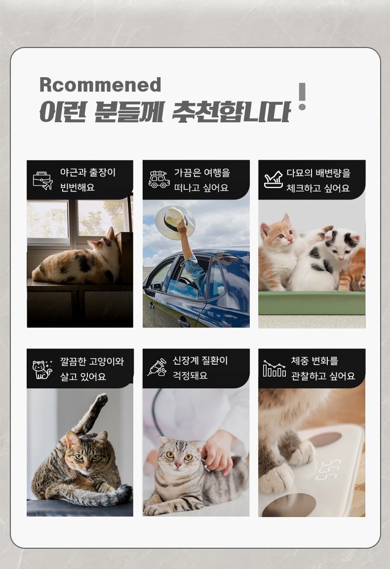 [무료배송] 캣링크 리터 박스 LUXURY PRO 5번째