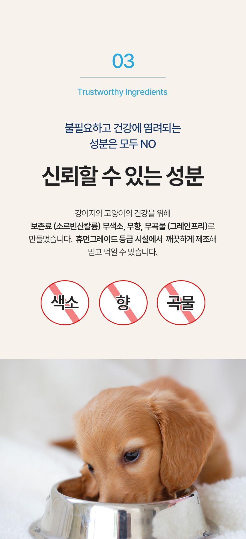 [창고대방출] 오늘멍냥 유산균 프로바이오틱스 60g 9번째