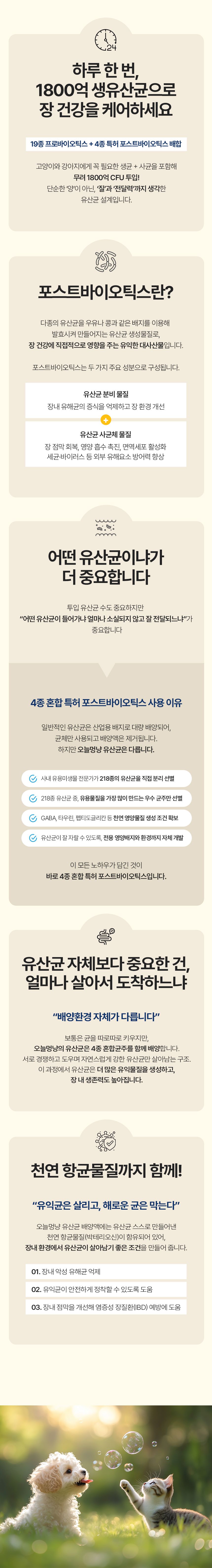 [창고대방출] 오늘멍냥 유산균 프로바이오틱스 60g 5번째