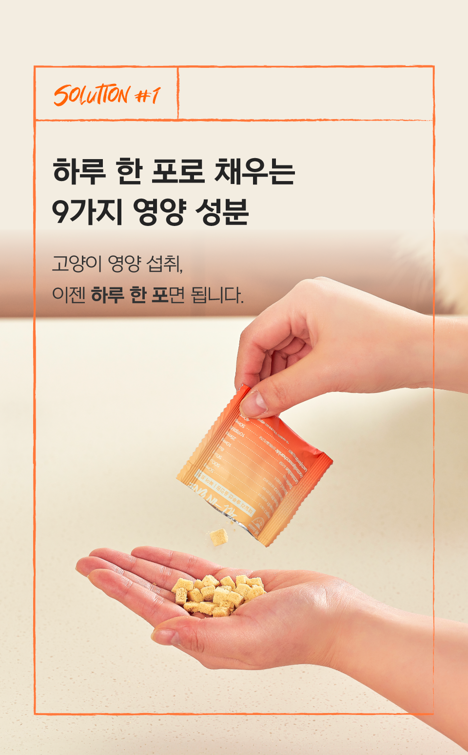 닥터펠리스 캣 유산균 오메가3 데일리솔루션 북어 30g 8번째