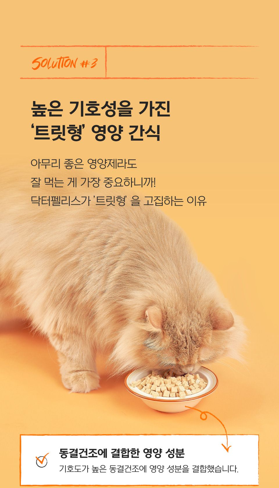닥터펠리스 캣 유산균 오메가3 데일리솔루션 북어 30g 16번째
