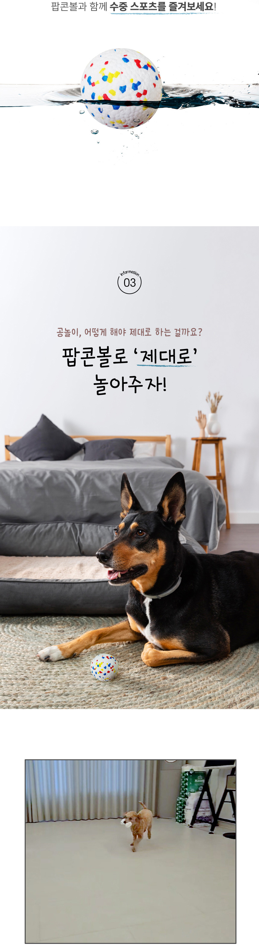 [무료배송] 애구애구 독 팝콘볼 공 장난감 10번째