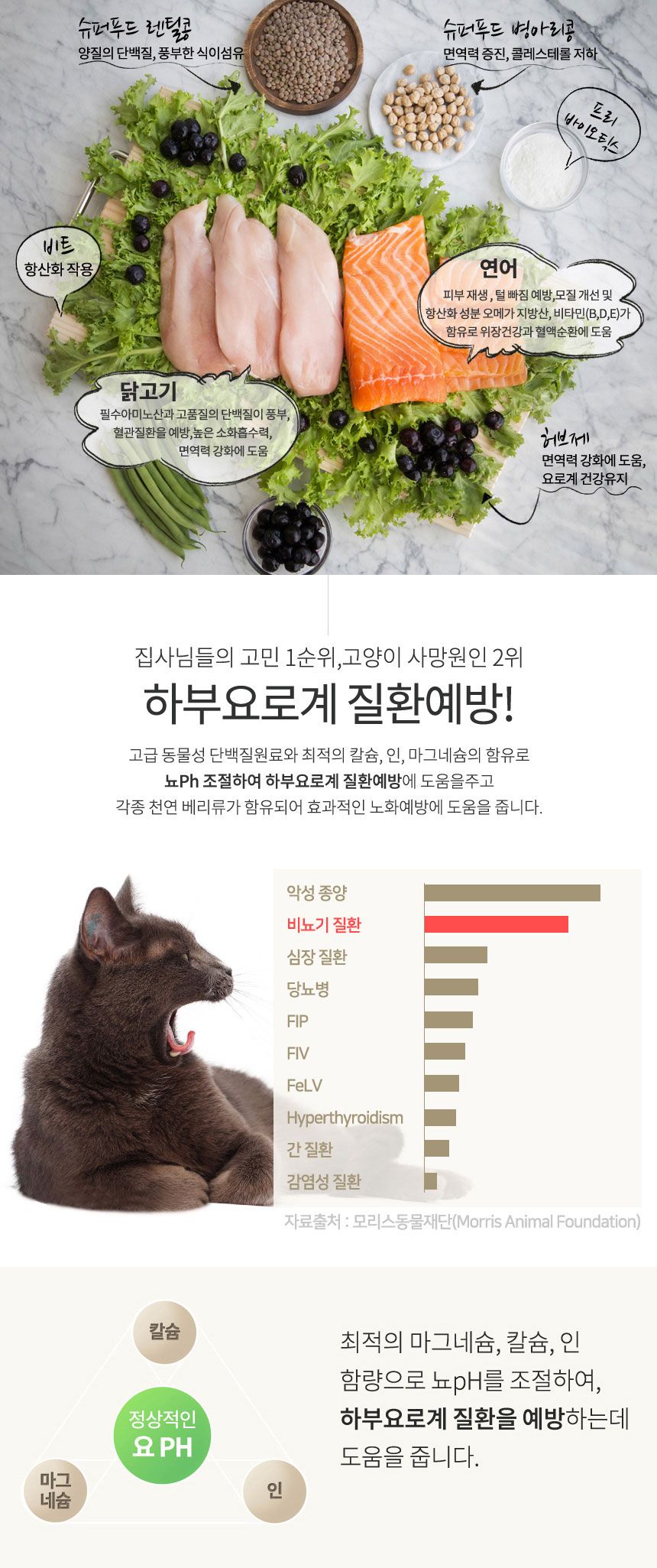 [무료배송] 펫토리아 한끼뚝딱 캣 프리미엄 그레인프리 800g 5번째
