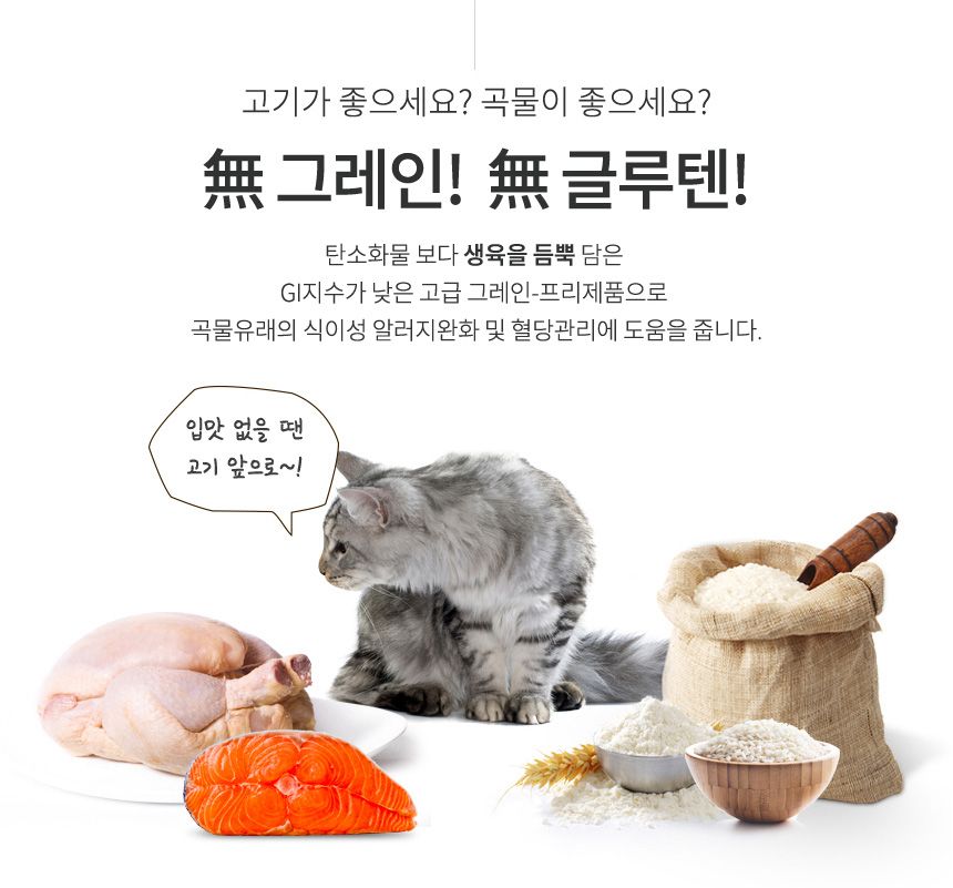 [무료배송] 펫토리아 한끼뚝딱 캣 프리미엄 그레인프리 800g 3번째