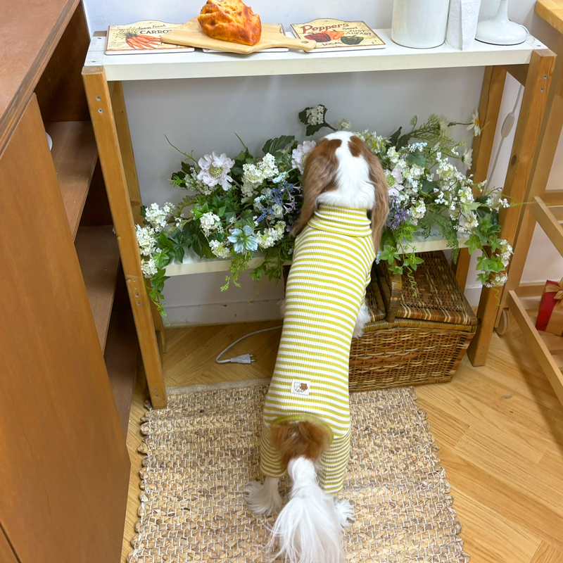 [무료배송] 해피댕댕 단가라올인원 S - 2XL 11번째
