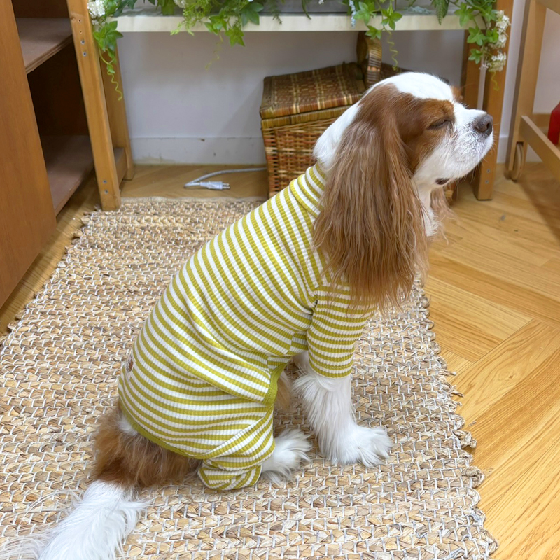 [무료배송] 해피댕댕 단가라올인원 S - 2XL 9번째
