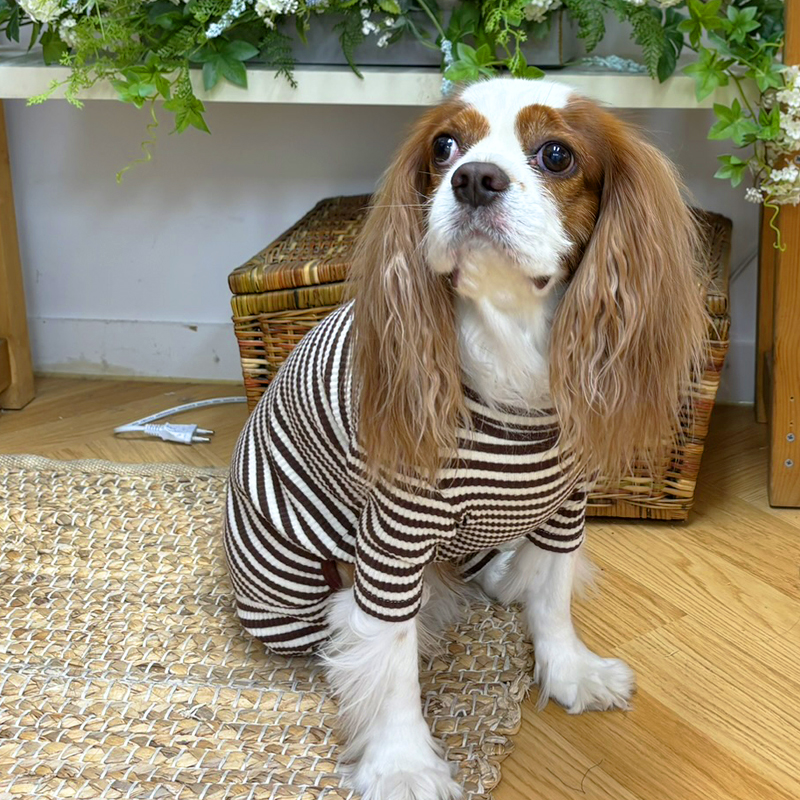 [무료배송] 해피댕댕 단가라올인원 S - 2XL 7번째