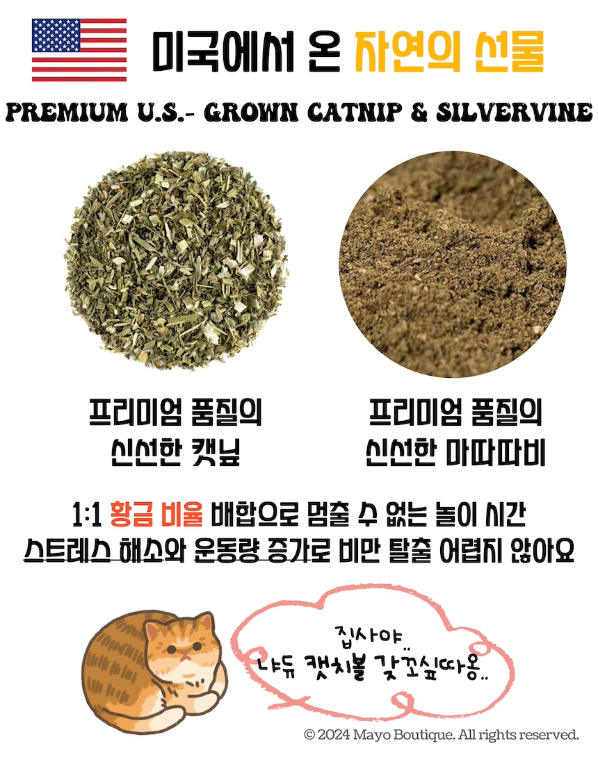 [NEW신상][무료배송] 마요부티크 캣치볼 캣닢 마따따비 야구공 장난감 3번째