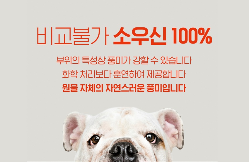 [NEW신상][무료배송] 오래오래프로젝트 독 깨끗한육포 오래먹는 소우신 불리츄 50g (4~6스틱) 1번째