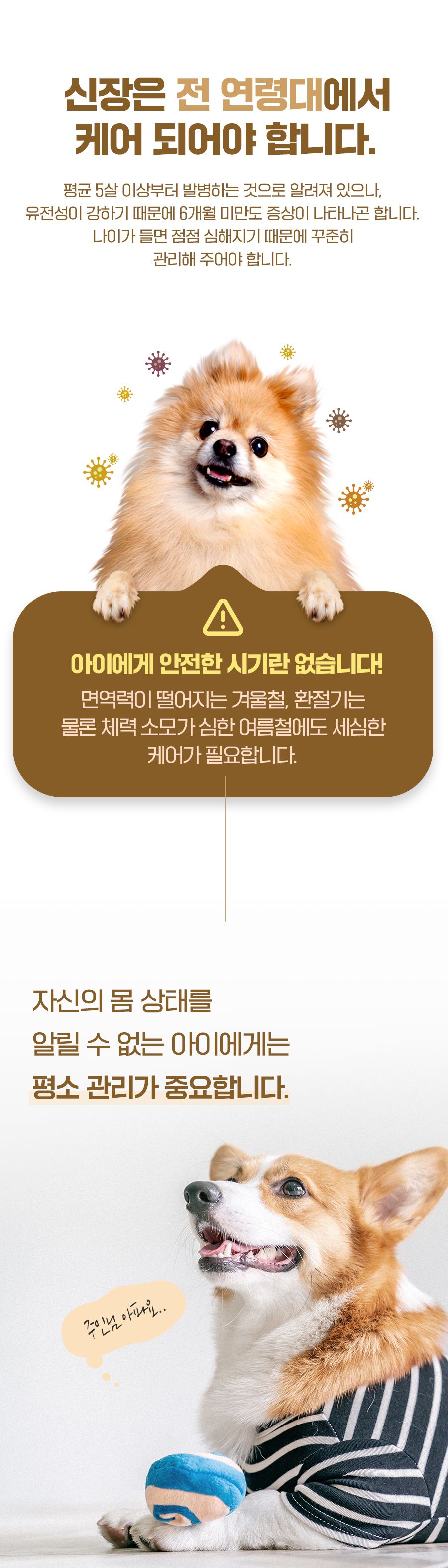 마이펫닥터 엘로이 레날 60g 3번째