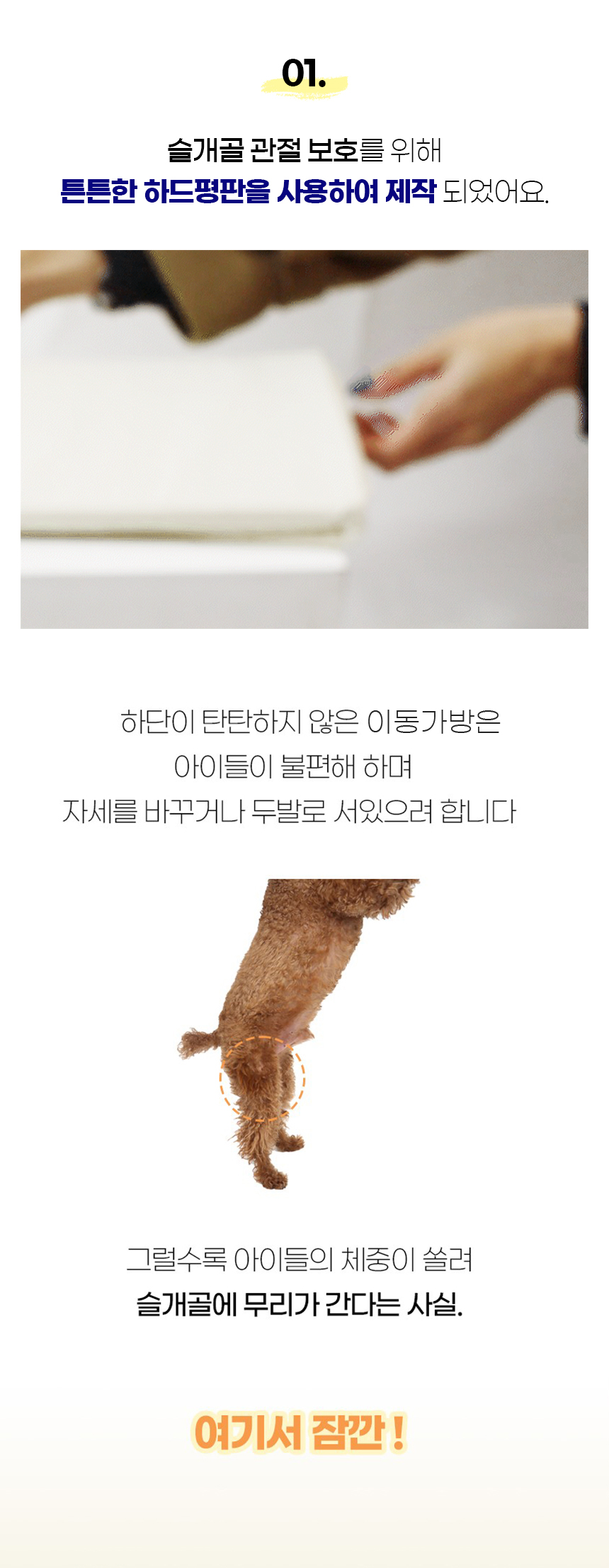 [NEW신상][무료배송] 개과천선 오드 이동가방 6번째