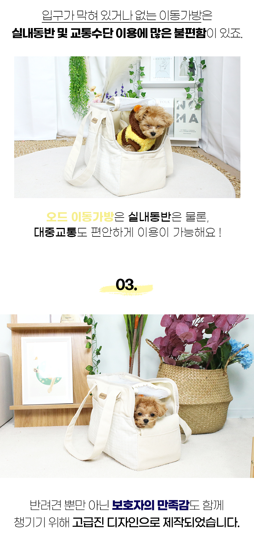 [NEW신상][무료배송] 개과천선 오드 이동가방 8번째