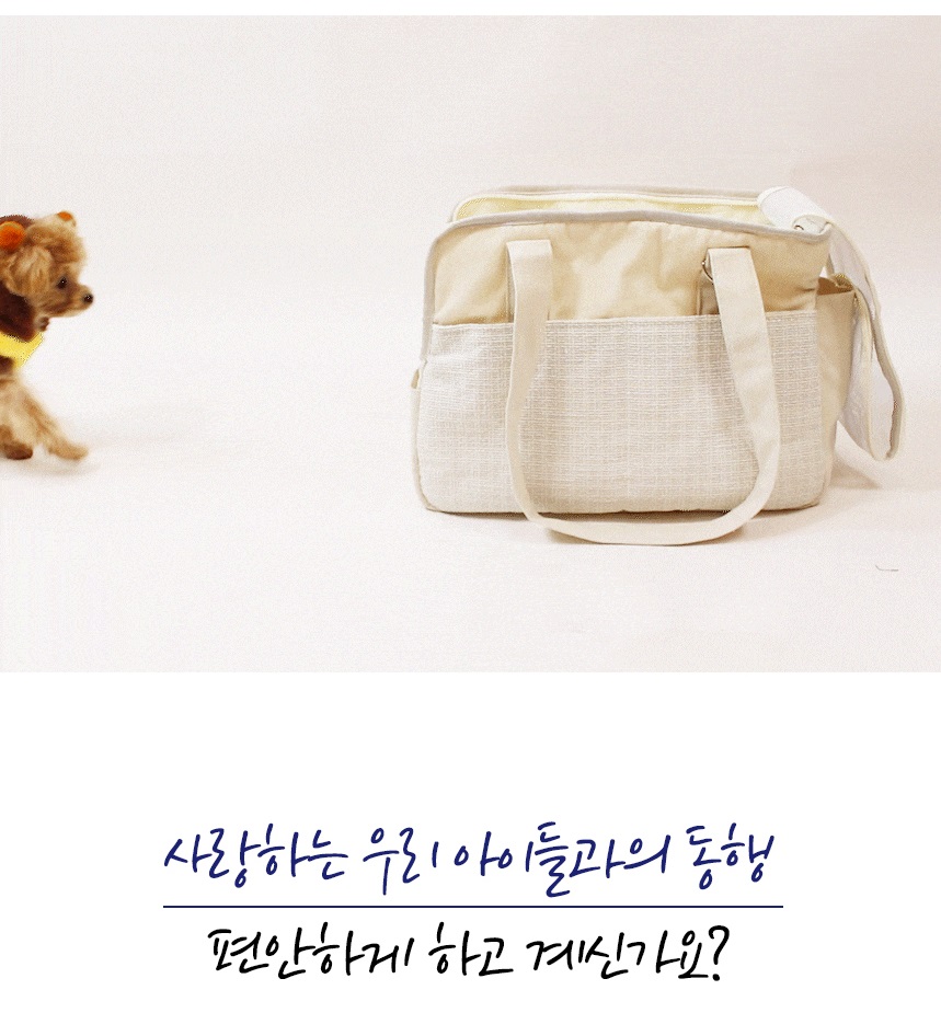 [NEW신상][무료배송] 개과천선 오드 이동가방 4번째