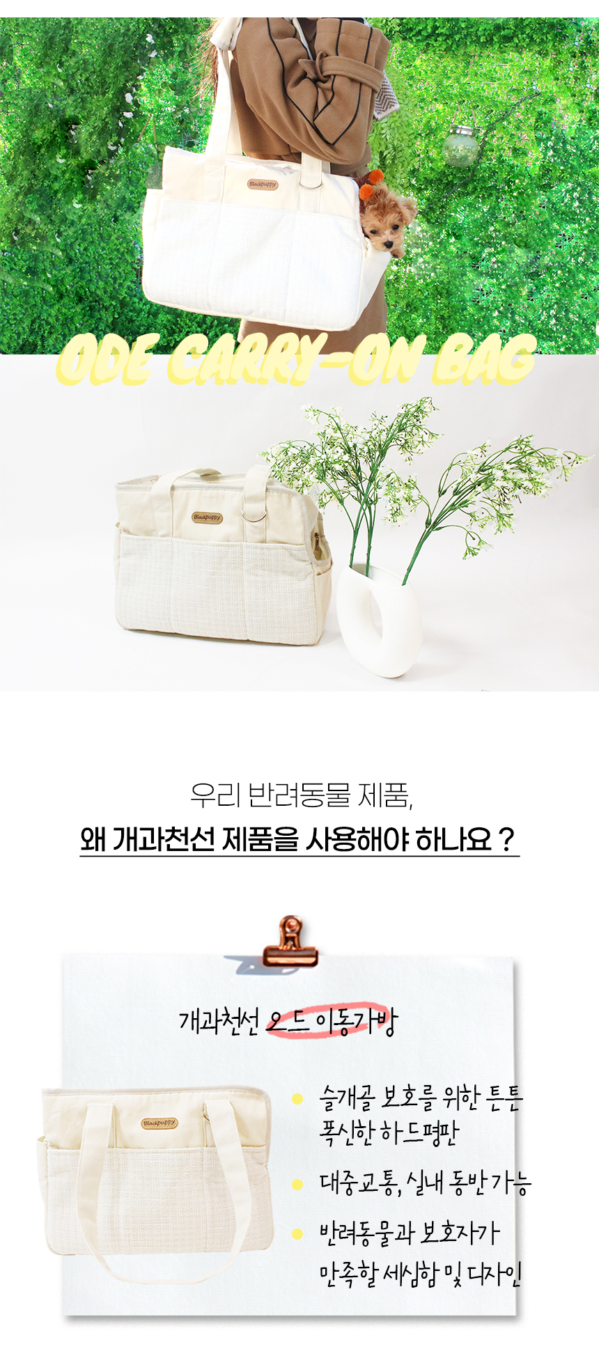 [NEW신상][무료배송] 개과천선 오드 이동가방 9번째