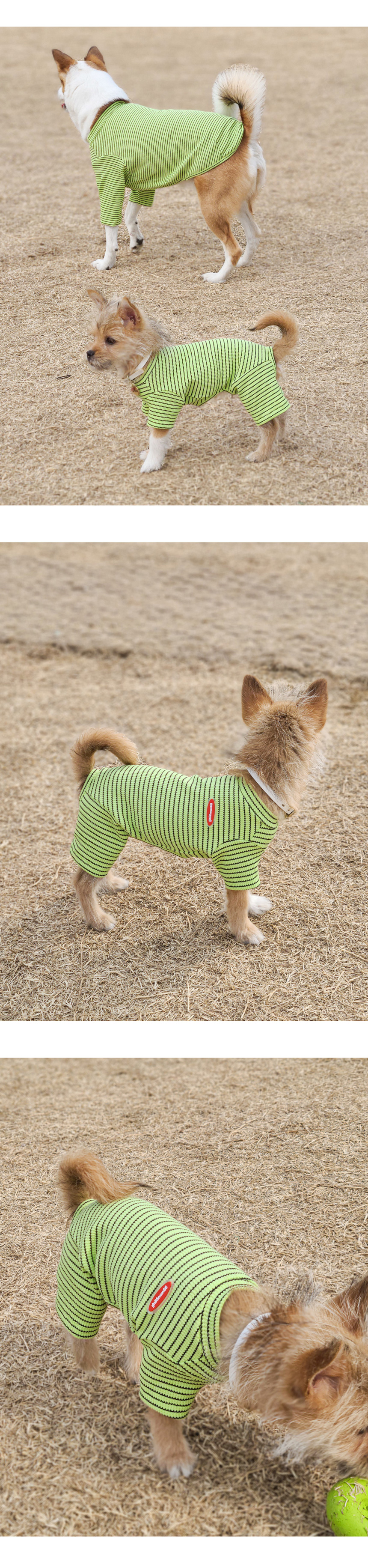 [무료배송] 꾸무꾸지 주디 스트라이프 올인원 그린 XS-XL 5번째