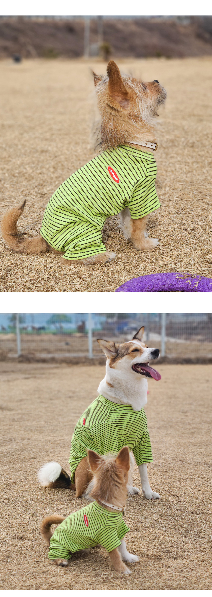 [무료배송] 꾸무꾸지 주디 스트라이프 올인원 그린 XS-XL 4번째