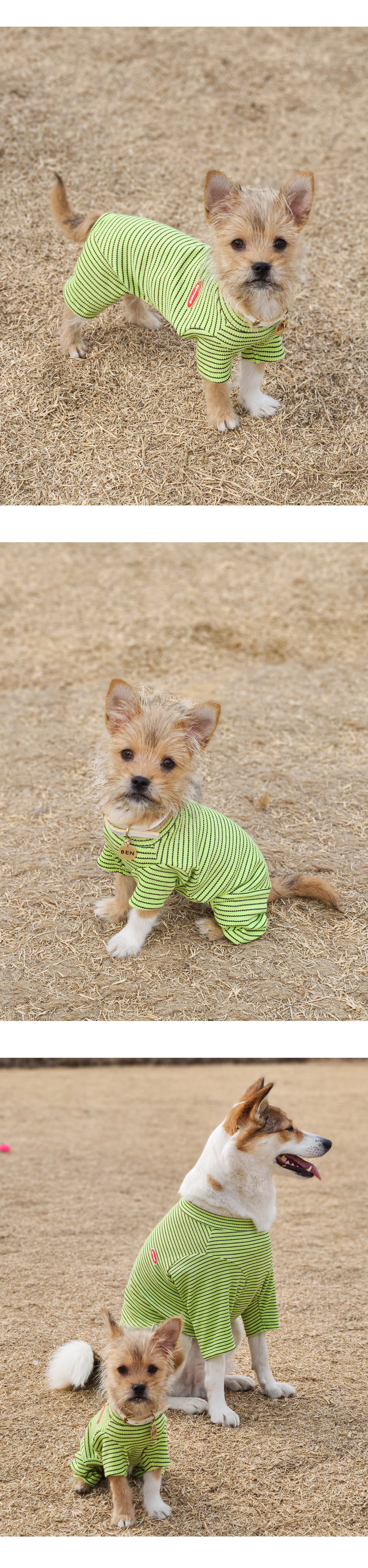 [무료배송] 꾸무꾸지 주디 스트라이프 올인원 그린 XS-XL 2번째