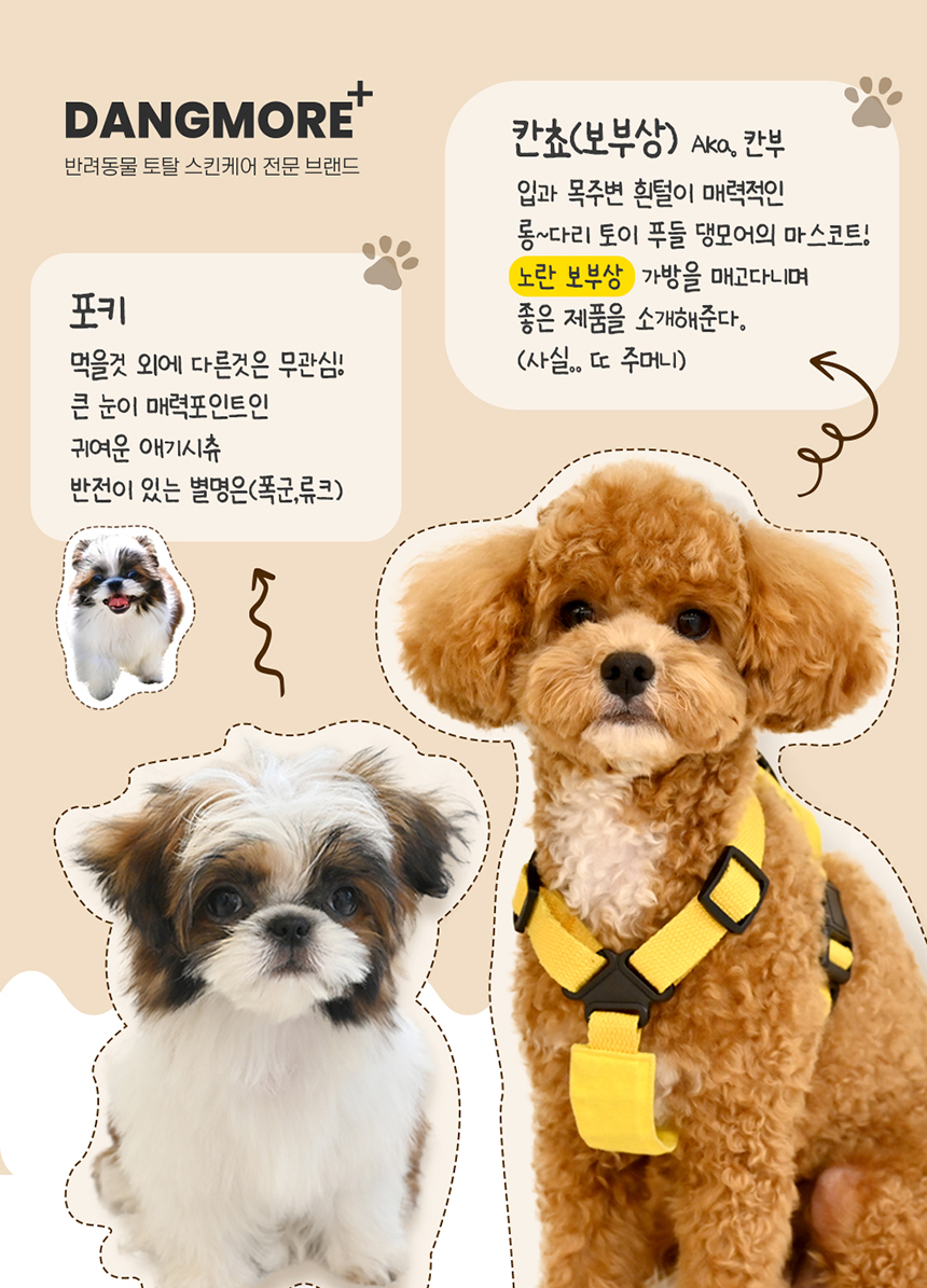 [무료배송] 댕모어 아이클리너 120ml  1번째