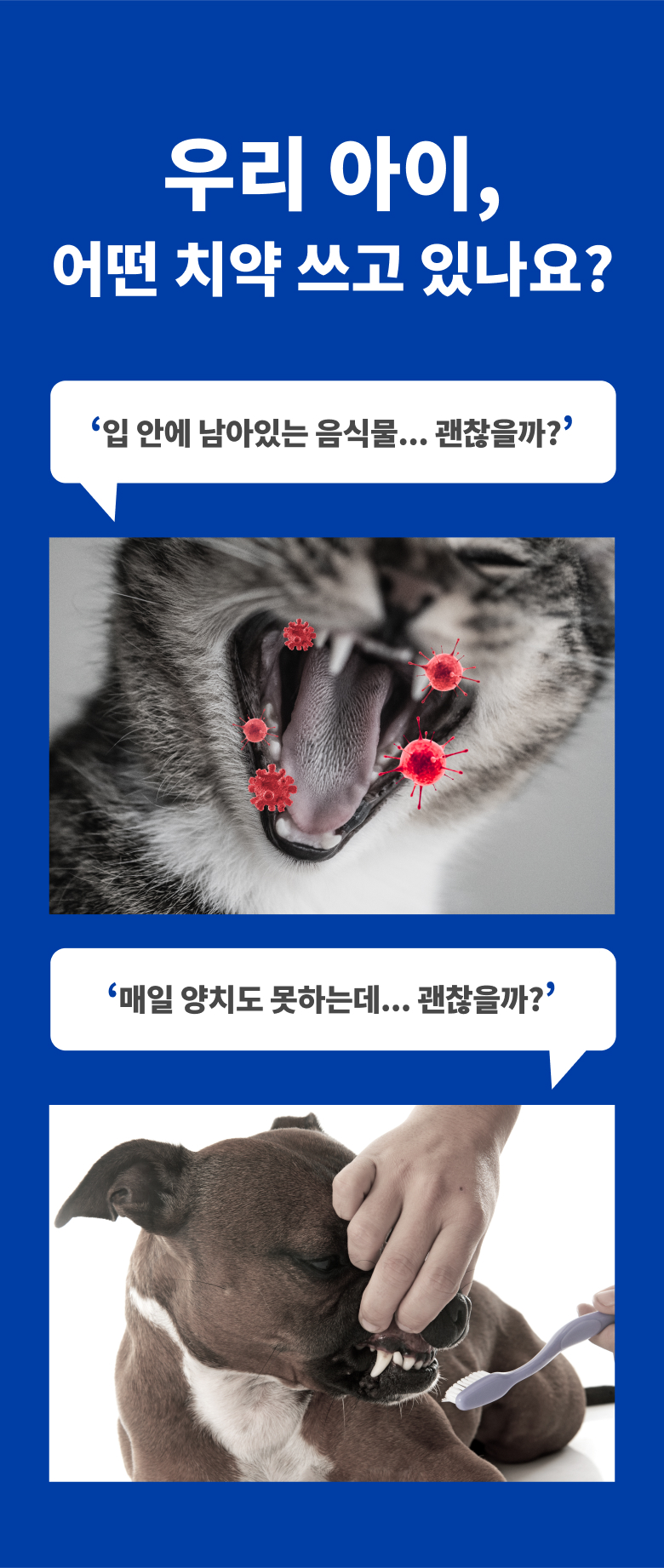 [무료배송] 피터스랩 메디퍼트 프로 6중 효소 프로폴리스 강아지 고양이 치약 60g 1번째