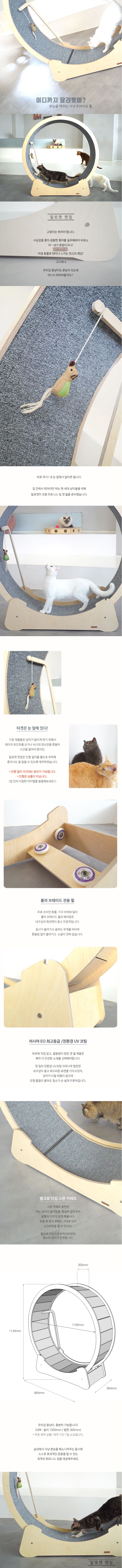 [무료배송] 알로캣 캣짐  1번째