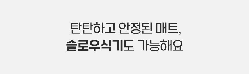 펫팀 새싹 노즈워크 매트 40번째