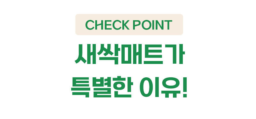 펫팀 새싹 노즈워크 매트 13번째