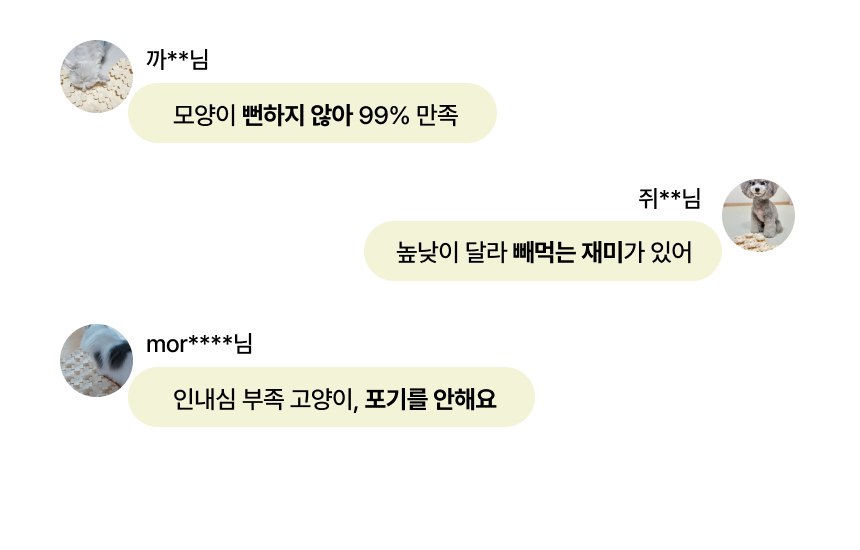 펫팀 새싹 노즈워크 매트 30번째