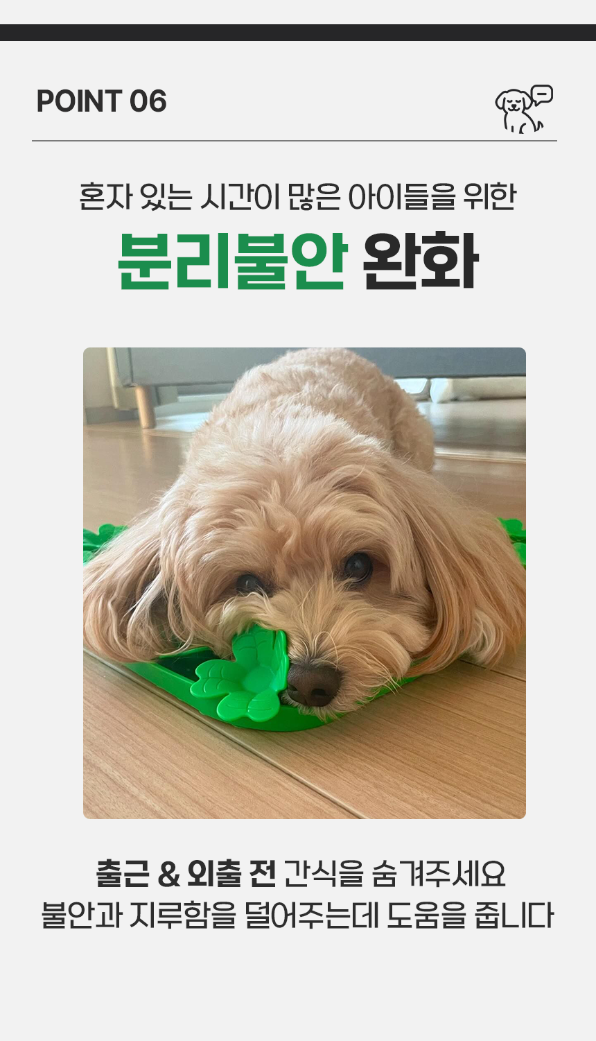 펫팀 새싹 노즈워크 매트 43번째