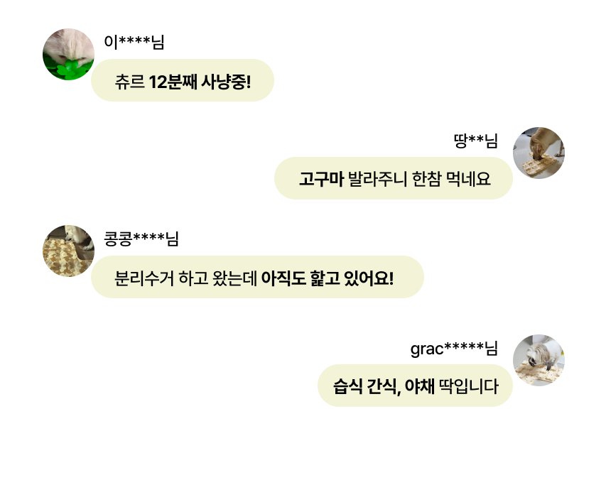 펫팀 새싹 노즈워크 매트 46번째