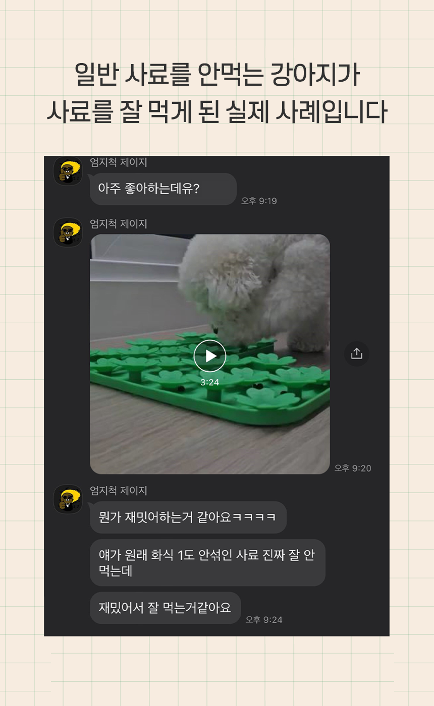 펫팀 새싹 노즈워크 매트 41번째