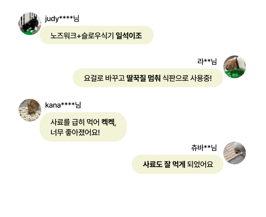 펫팀 새싹 노즈워크 매트 42번째