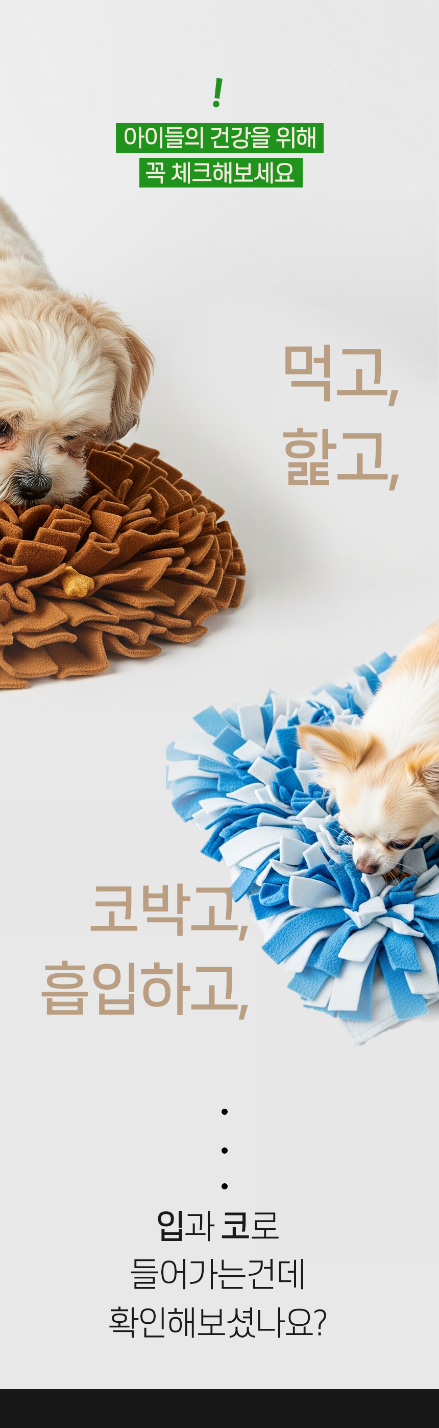 펫팀 새싹 노즈워크 매트 1번째