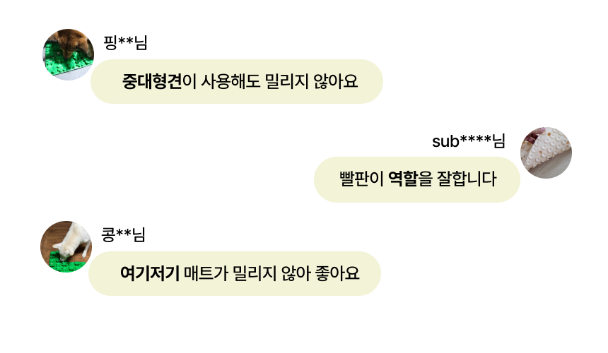 펫팀 새싹 노즈워크 매트 35번째