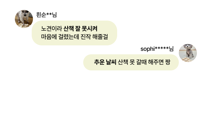 펫팀 새싹 노즈워크 매트 48번째
