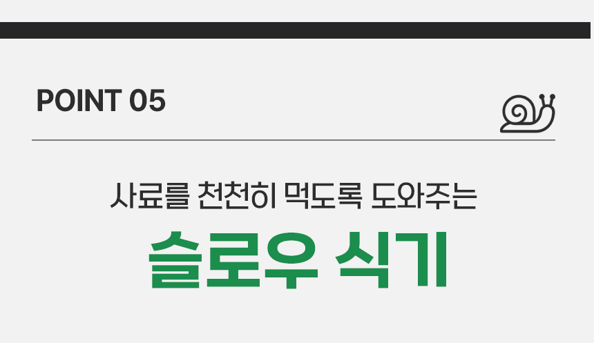 펫팀 새싹 노즈워크 매트 38번째