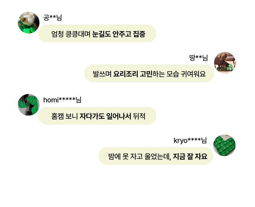펫팀 새싹 노즈워크 매트 44번째