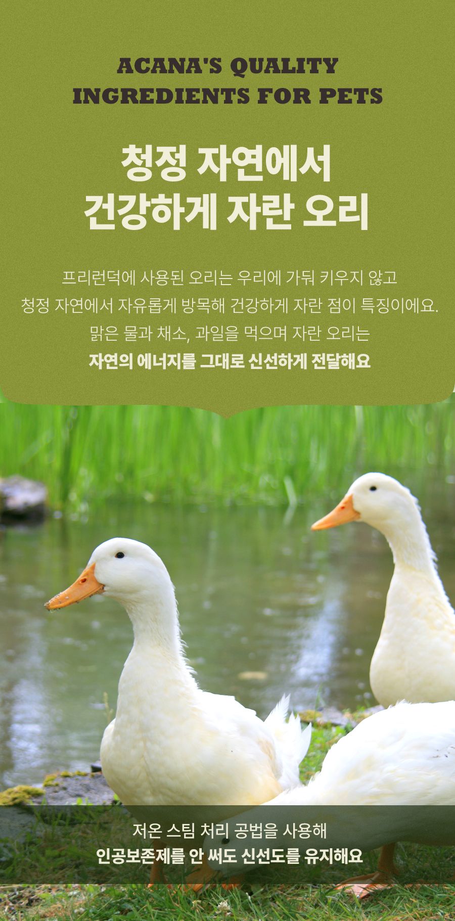 아카나 독 프리런 덕 11.4kg 6번째