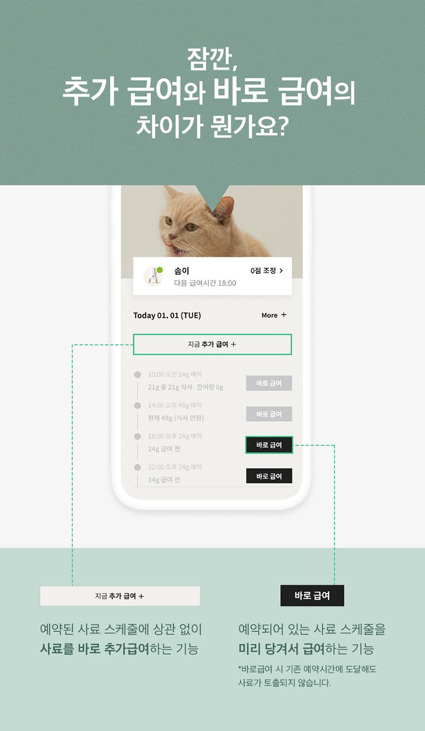 [브랜드전]두잇 더테이블 플러스 자동급식기 S/M + 우드 다리 11번째