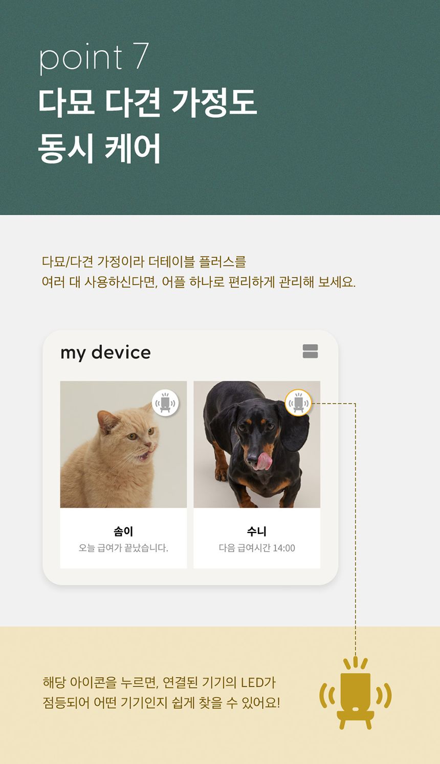 [브랜드전]두잇 더테이블 플러스 자동급식기 S/M + 우드 다리 20번째