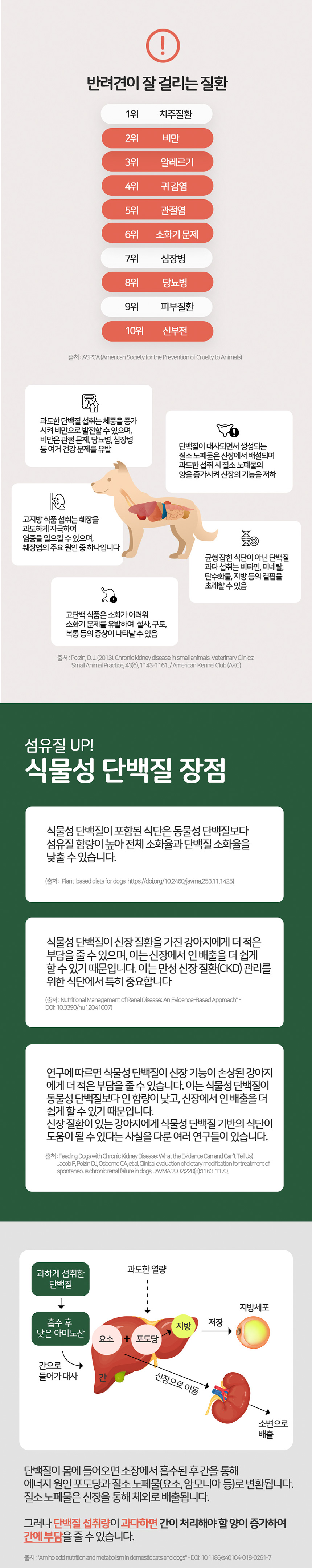 [무료배송] 누터스가든 독 식물성 단백질 육포 베지터블 져키 90g 4번째